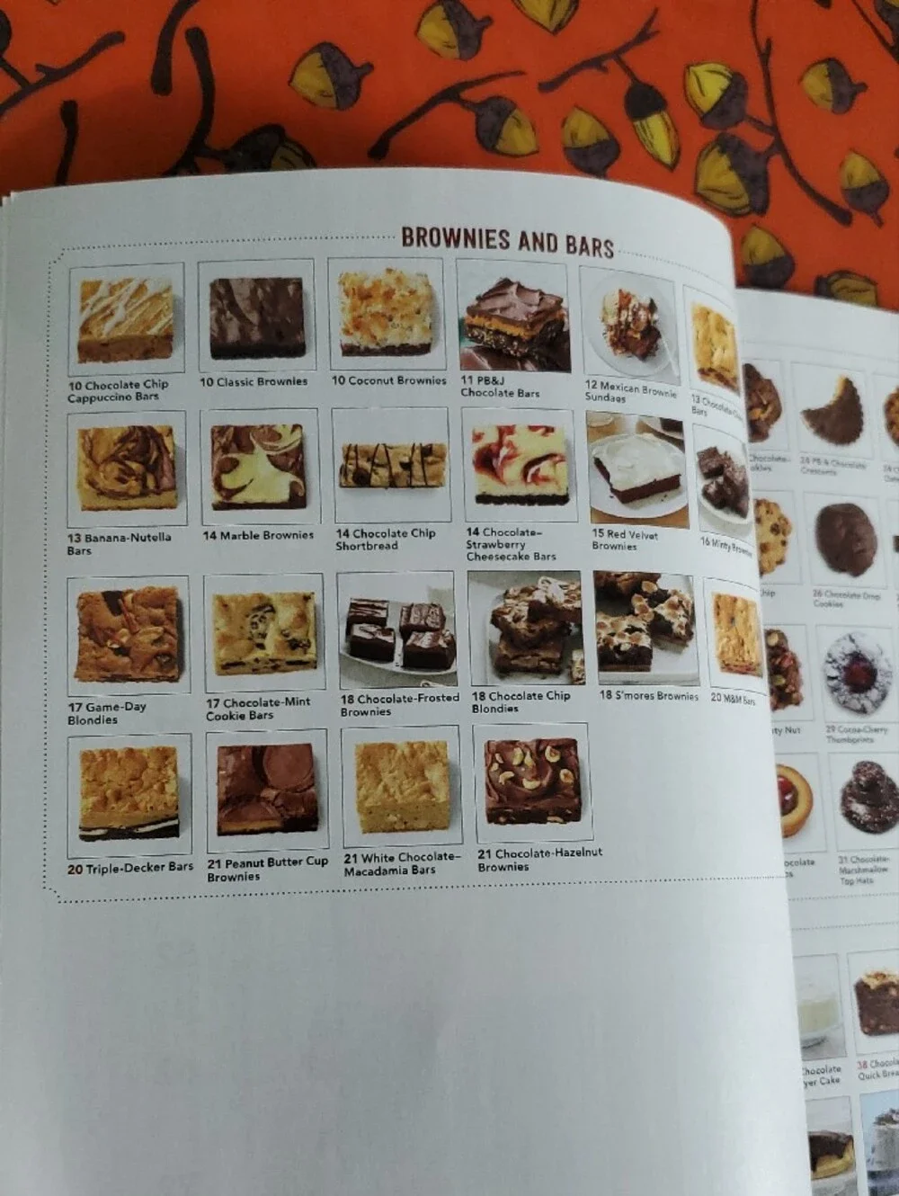 Food Network Chocolate Lover's Cookbook - White & Brown